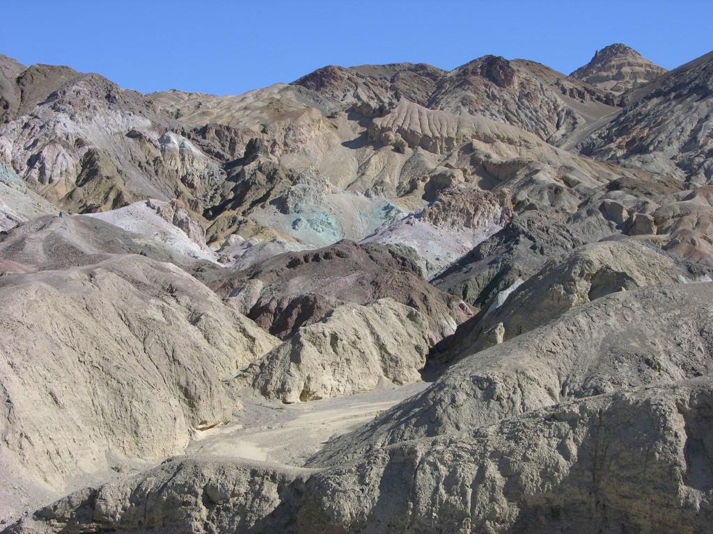 dscn2528.jpg