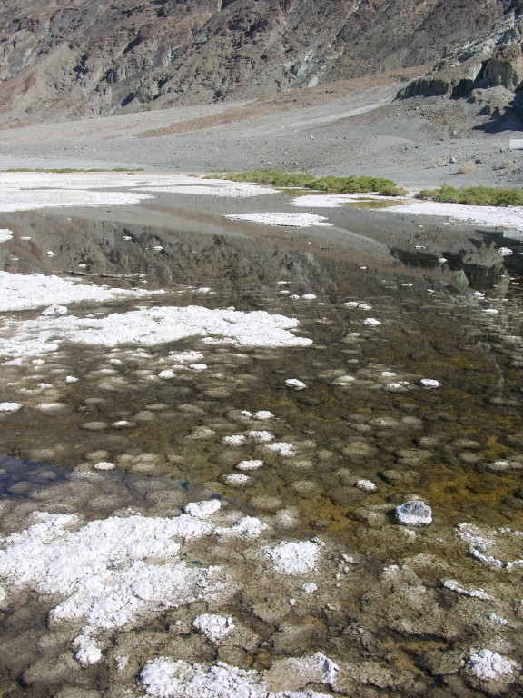 dscn2529.jpg