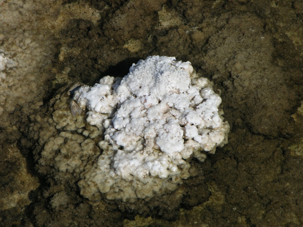 dscn2530.jpg
