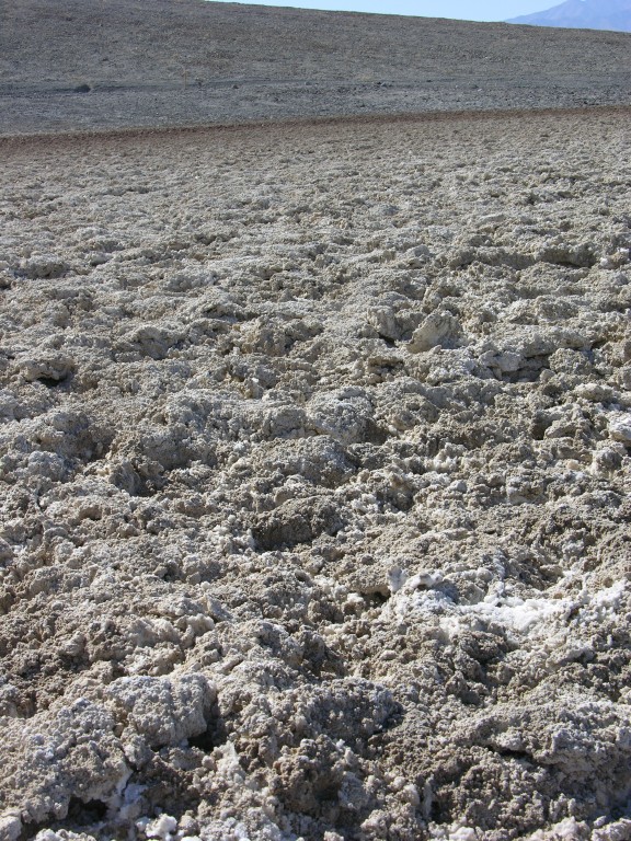 dscn2535.jpg