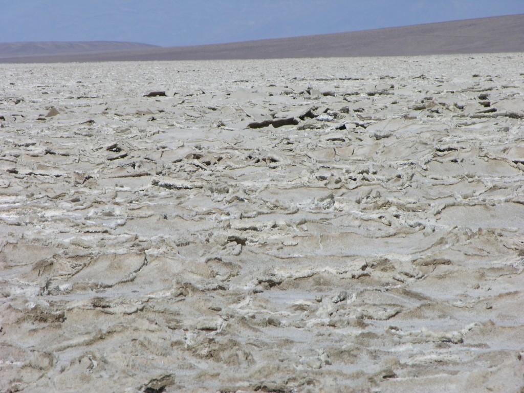 dscn2538.jpg