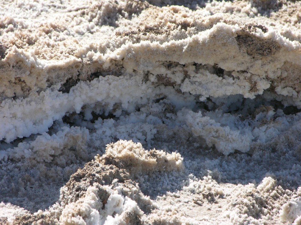 dscn2539.jpg