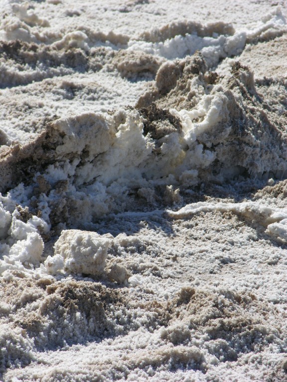dscn2540.jpg