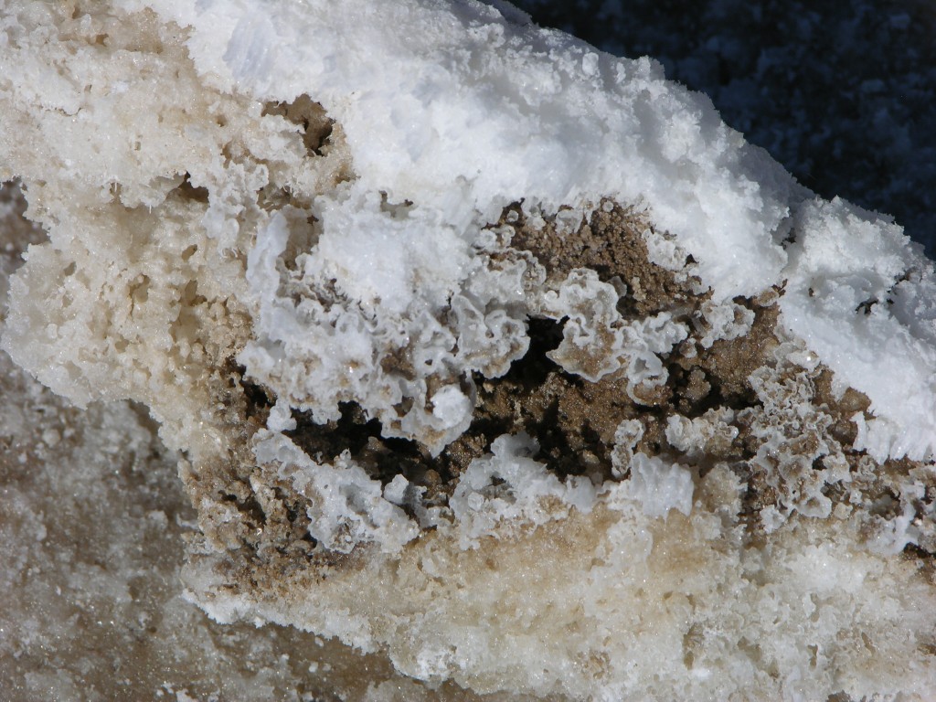dscn2542.jpg