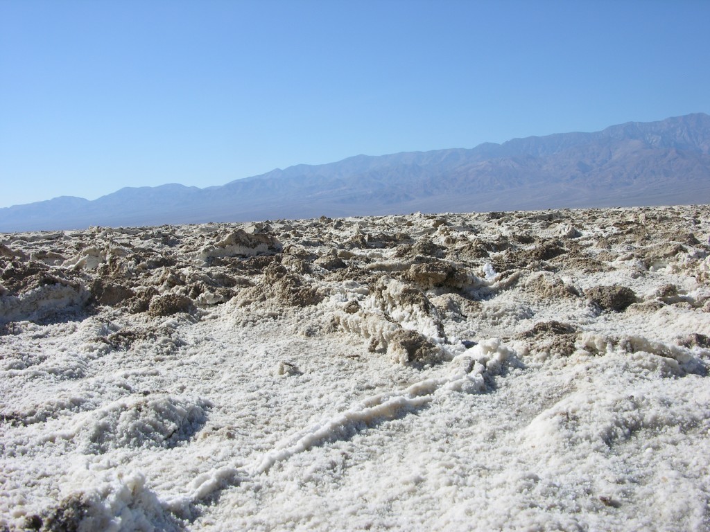 dscn2543.jpg