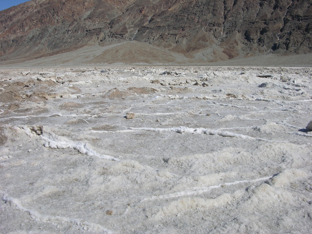 dscn2544.jpg
