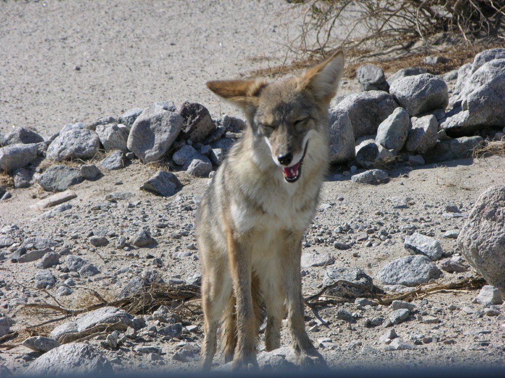 dscn2545.jpg