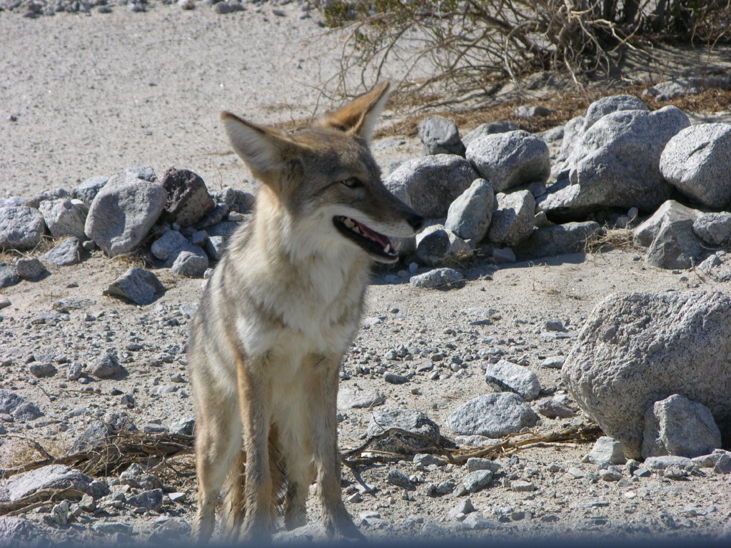 dscn2546.jpg