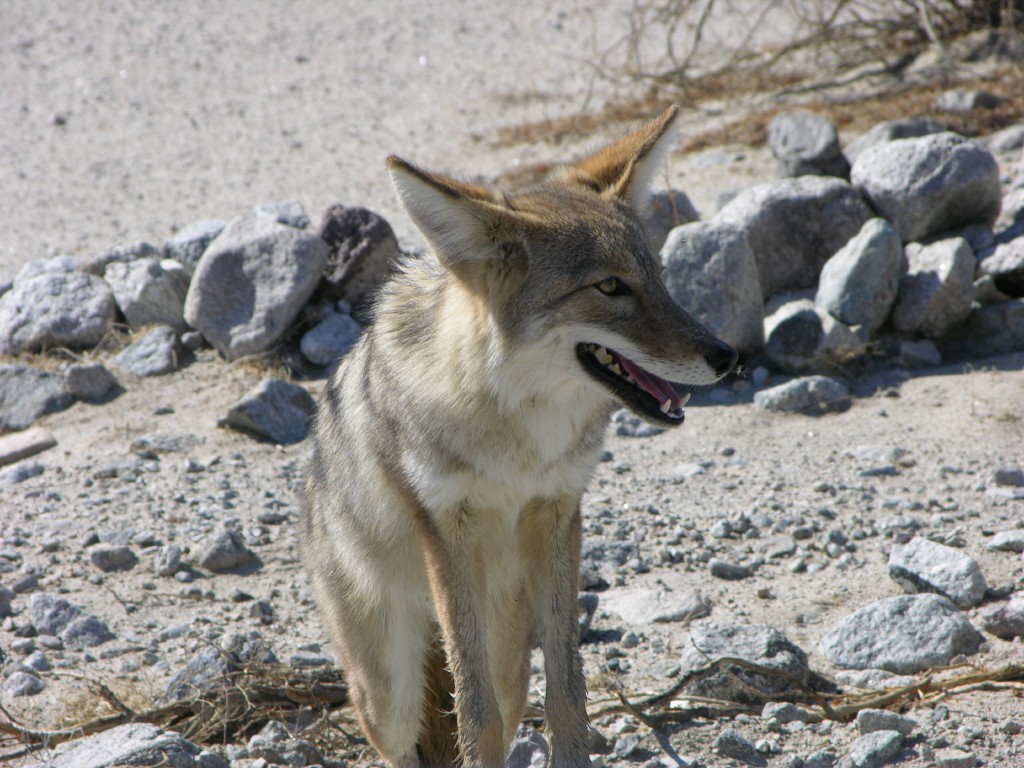 dscn2548.jpg