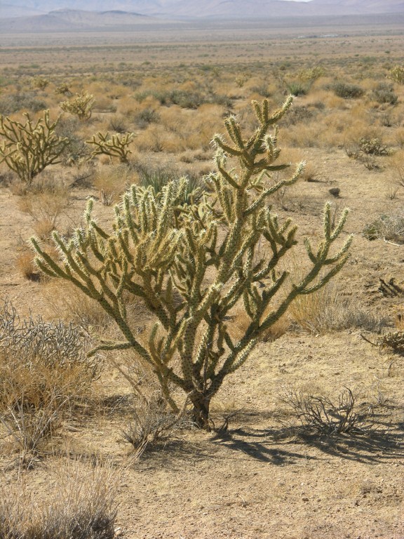dscn2552.jpg