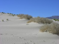 dscn2262.jpg