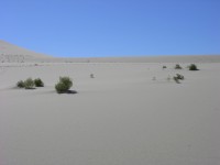 dscn2263.jpg