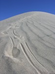 dscn2265.jpg
