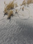 dscn2275.jpg