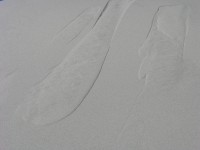 dscn2277.jpg