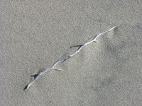 dscn2279.jpg