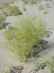 dscn2284.jpg