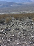dscn2301.jpg
