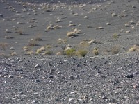 dscn2310.jpg