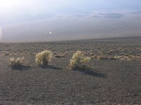 dscn2331.jpg