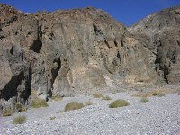 dscn2337.jpg