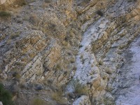 dscn2359.jpg