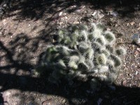 dscn2376.jpg
