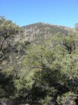 dscn2379.jpg
