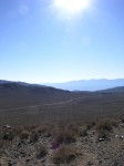 dscn2386.jpg
