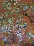 dscn2409.jpg