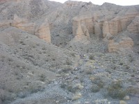 dscn2411.jpg
