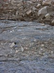 dscn2454.jpg