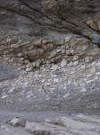 dscn2455.jpg