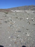 dscn2456.jpg
