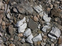 dscn2460.jpg