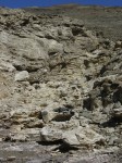dscn2478.jpg