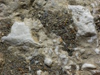 dscn2479.jpg