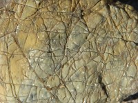 dscn2482.jpg