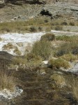 dscn2484.jpg