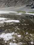 dscn2529.jpg