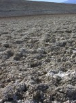 dscn2535.jpg