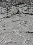 dscn2537.jpg