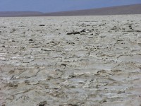 dscn2538.jpg