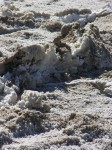 dscn2540.jpg