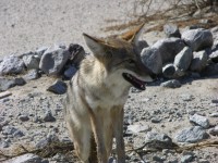 dscn2548.jpg
