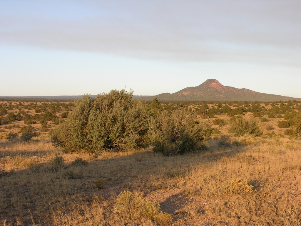 dscn2555.jpg