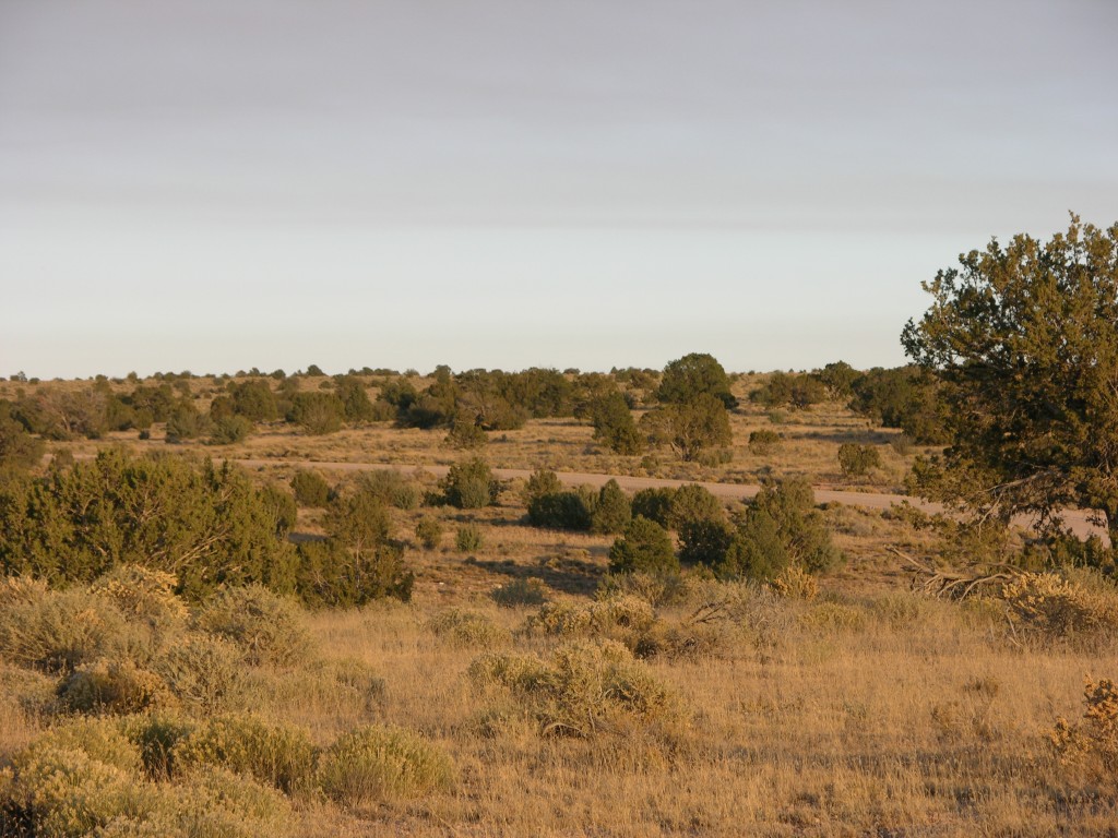 dscn2556.jpg