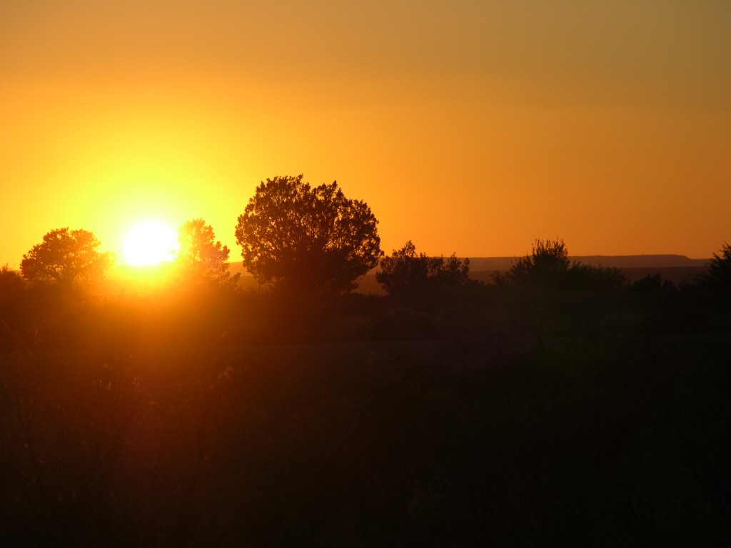 dscn2561.jpg