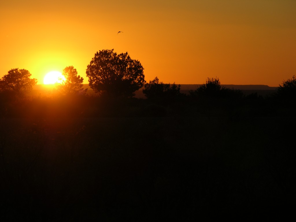 dscn2563.jpg