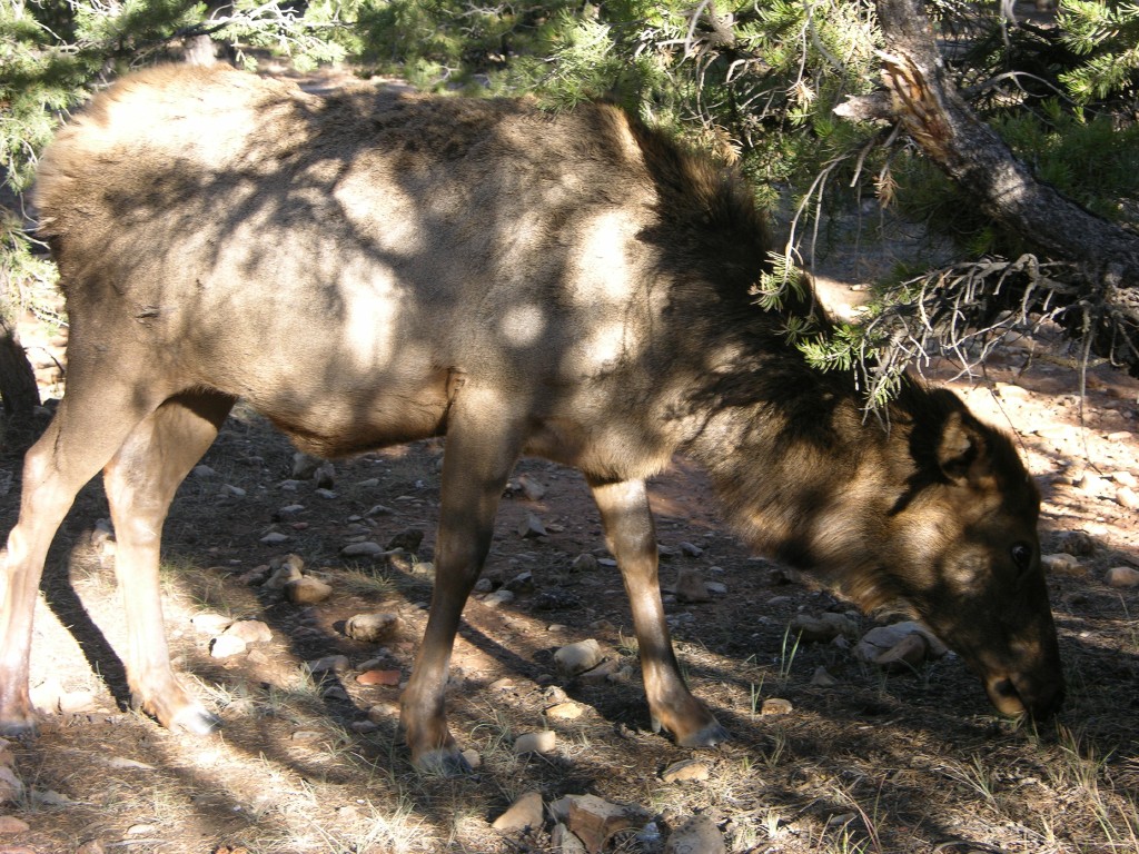 dscn2571.jpg